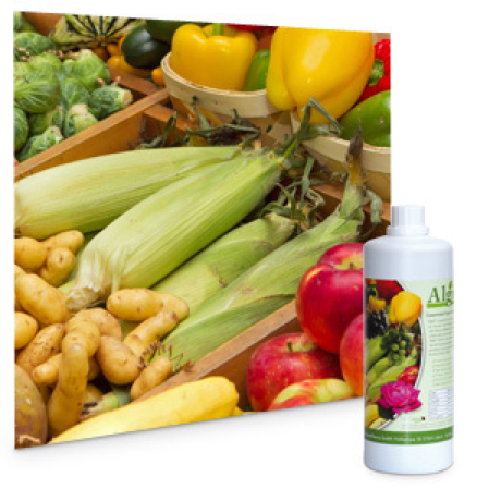 Produits d'importation